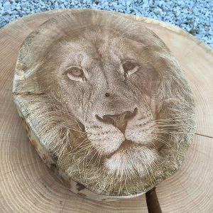 Incisione laser su vero legno